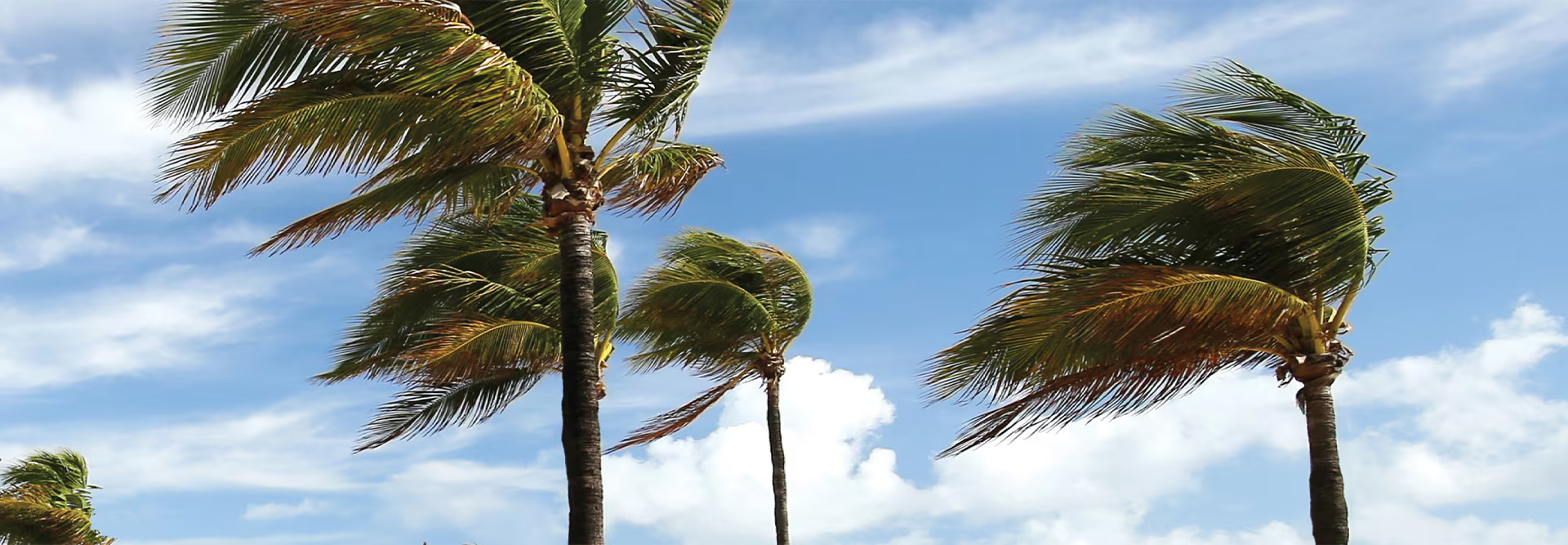 High Wind Speeds