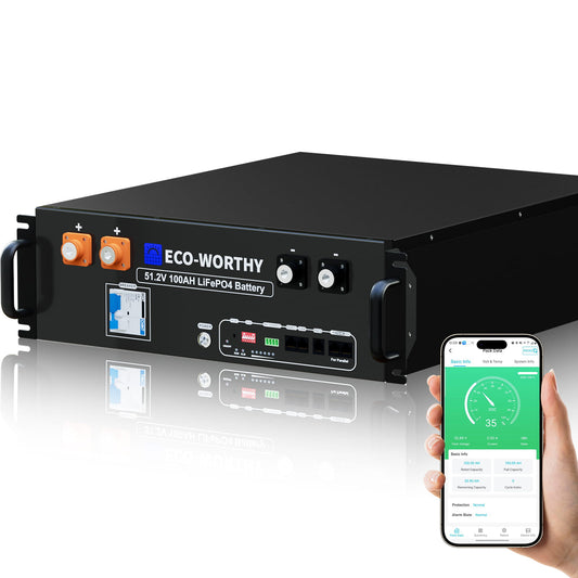ECO - WORTHY 48V(51.2V) 100Ah LiFePO4 Server Rack Battery,3U Size With Bluetooth & Wifi(V3) - lithium battery