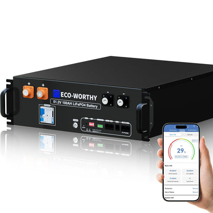 ECO - WORTHY 48V(51.2V) 100Ah LiFePO4 Server Rack Battery,3U Size With Bluetooth & Wifi(V3) - lithium battery