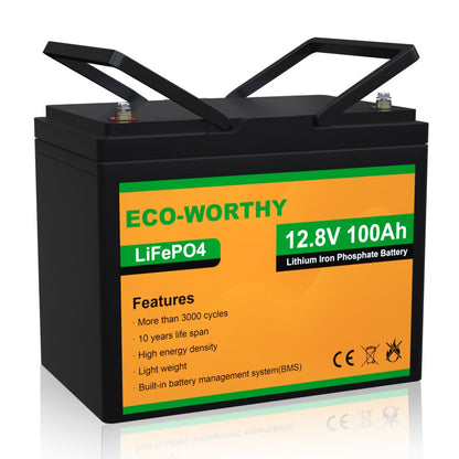 Introducing The Eco-worthy 12v 100ah Lifepo4 Battery - Find Out What's  Inside The Box! 