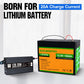 ecoworthy_lithium_battery_charger_12V_20A_2
