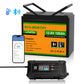 LiFePO4 12V 100Ah Lithium Iron Phosphate Battery With Bluetooth And Low - temperature Protection - lithium battery