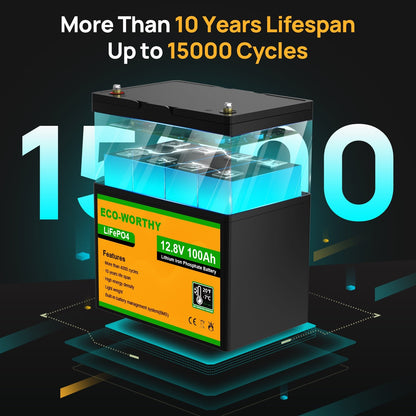 LiFePO4 12V 100Ah Lithium Iron Phosphate Battery With Low Temperature - lithium battery