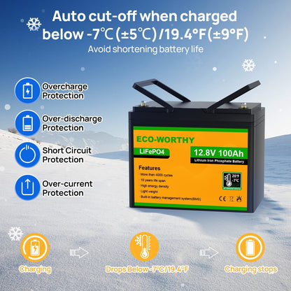 LiFePO4 12V 100Ah Lithium Iron Phosphate Battery With Low Temperature - lithium battery