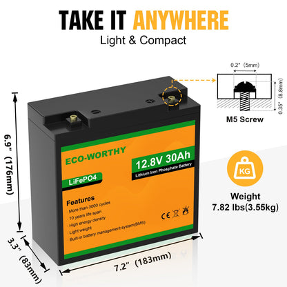 LiFePO4 12V 30Ah Lithium Iron Phosphate Battery - lithium battery