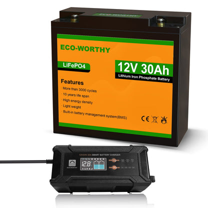 LiFePO4 12V 30Ah Lithium Iron Phosphate Battery - lithium battery