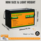 LiFePO4 24V 100Ah Lithium Iron Phosphate Battery - lithium battery