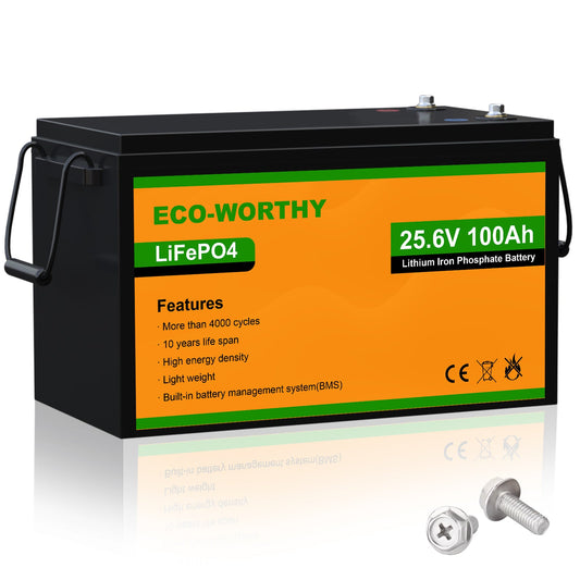 LiFePO4 24V 100Ah Lithium Iron Phosphate Battery - lithium battery