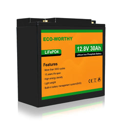 LiFePO4 12V 30Ah Lithium Iron Phosphate Battery