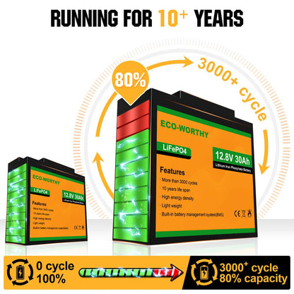 LiFePO4 12V 30Ah Lithium Iron Phosphate Battery - lithium battery