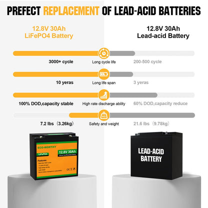 LiFePO4 12V 30Ah Lithium Iron Phosphate Battery - lithium battery